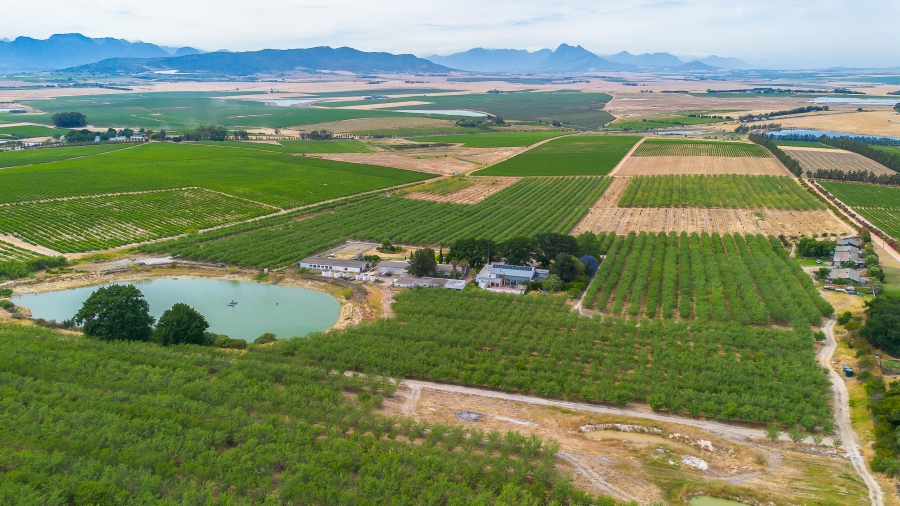 4 Bedroom Property for Sale in Paarl Rural Western Cape